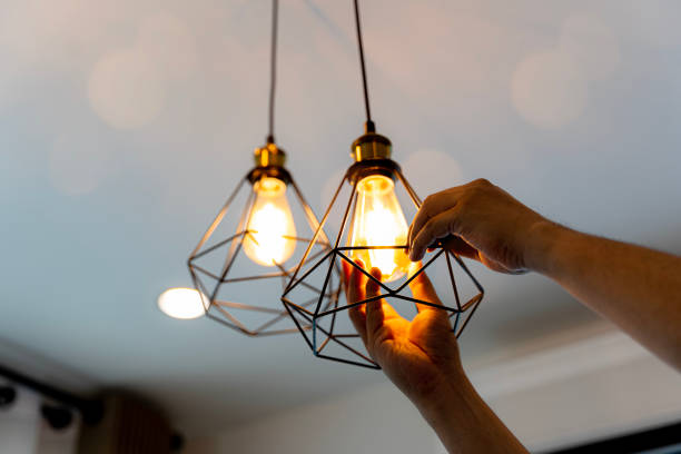Best Affordable Electrician  in Laurel Hill, NC